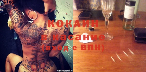 шишки Гусев