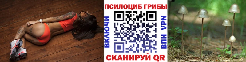 Галлюциногенные грибы мухоморы  Купить где  Заречный 