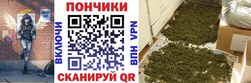 Купить закладки  Заречный  Бошки марихуана AK-47 